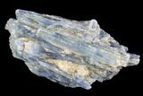Vibrant Blue Kyanite Crystal Cluster - Brazil #95589-1